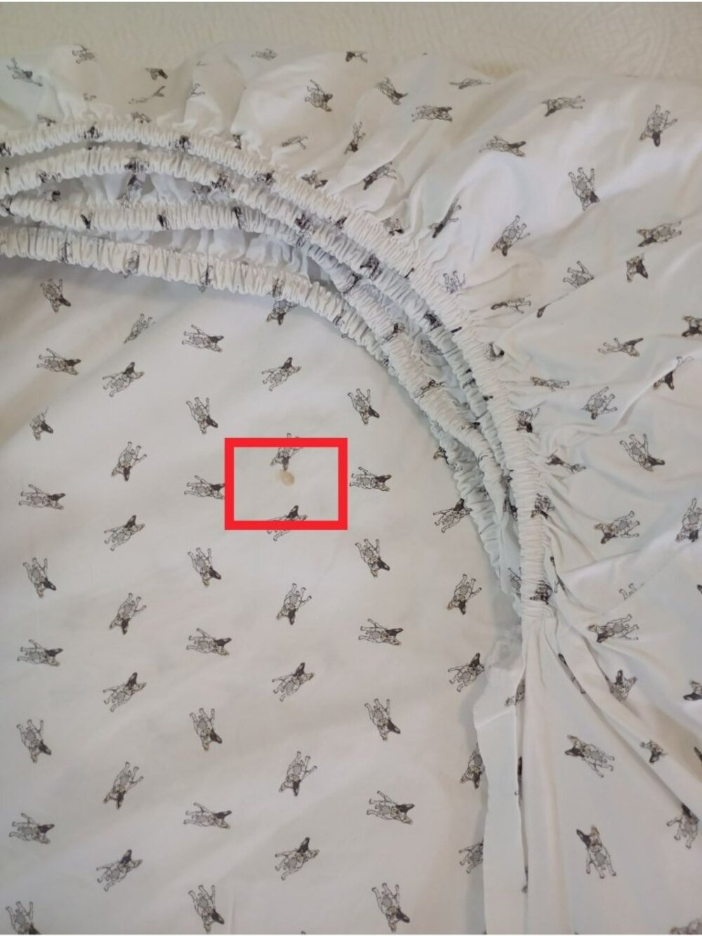 Ralph Lauren Home 100% Cotton Twin Sheet Set Dog Print White - Picture 7 of 7